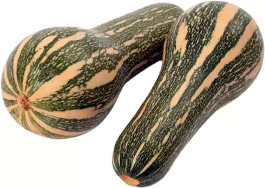 Pitaro Hortifruti - Foto ilustrativa