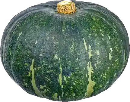 Pitaro Hortifruti - Foto ilustrativa