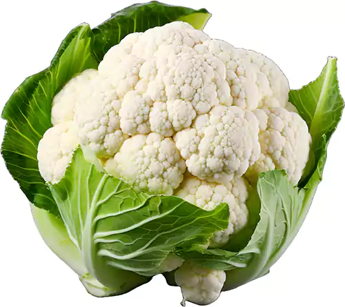 Pitaro Hortifruti - Foto ilustrativa