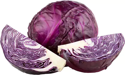 Pitaro Hortifruti - Foto ilustrativa